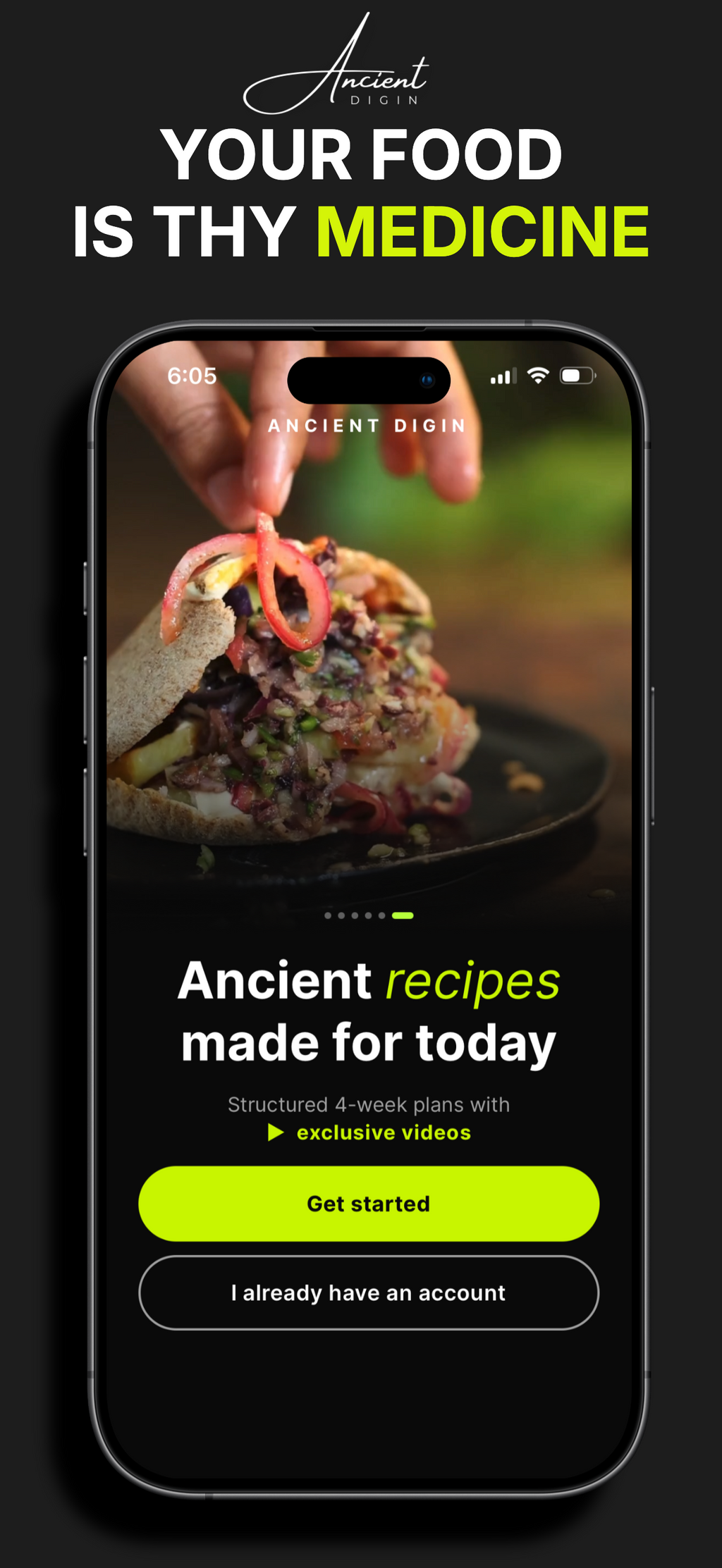 The 28-Day Gut Protocol by Ancient Digin