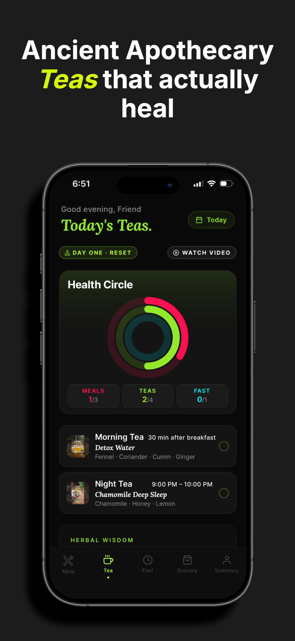 The 28-Day Gut Protocol by Ancient Digin