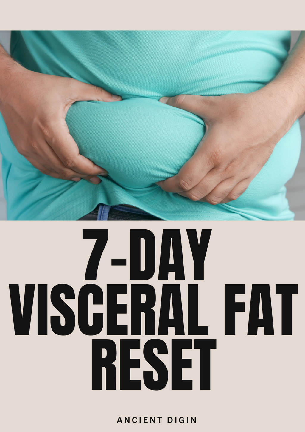 7-Day Visceral Fat Reset eBook