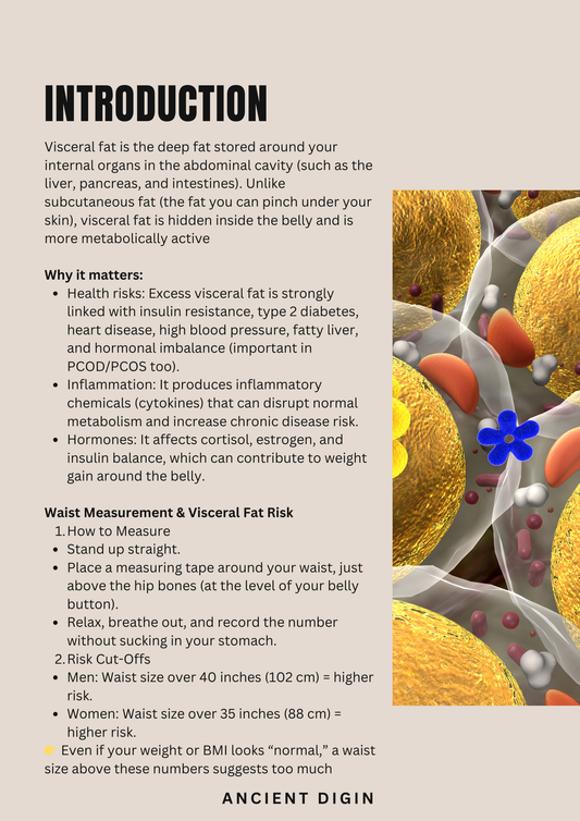 7-Day Visceral Fat Reset eBook