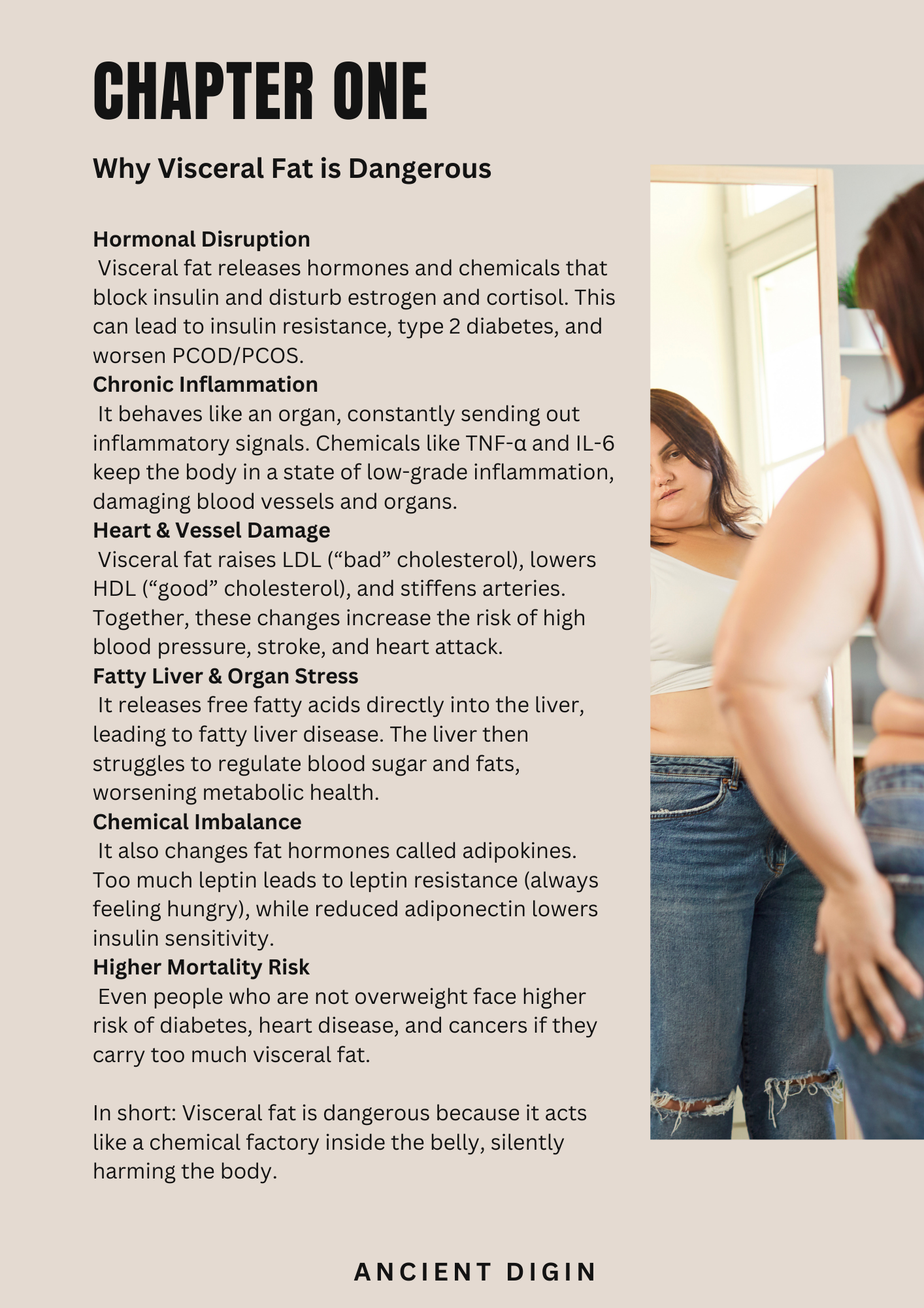 7-Day Visceral Fat Reset eBook